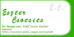 eszter csocsics business card